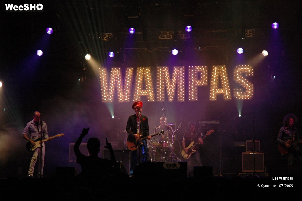 19/33 photos du spectacle Les Wampas