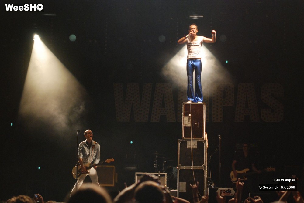24/33 photos du spectacle Les Wampas