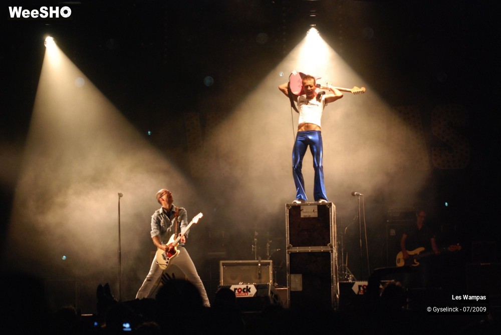 26/33 photos du spectacle Les Wampas