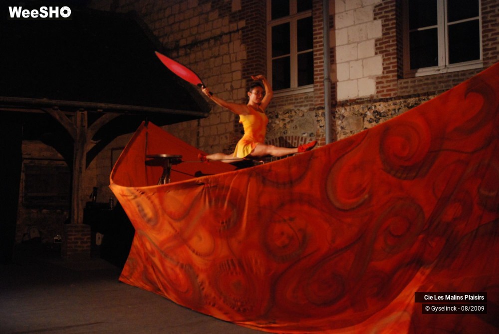 4/22 photos du spectacle La Nuit des Malins Plaisirs