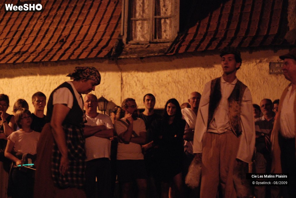 17/22 photos du spectacle La Nuit des Malins Plaisirs