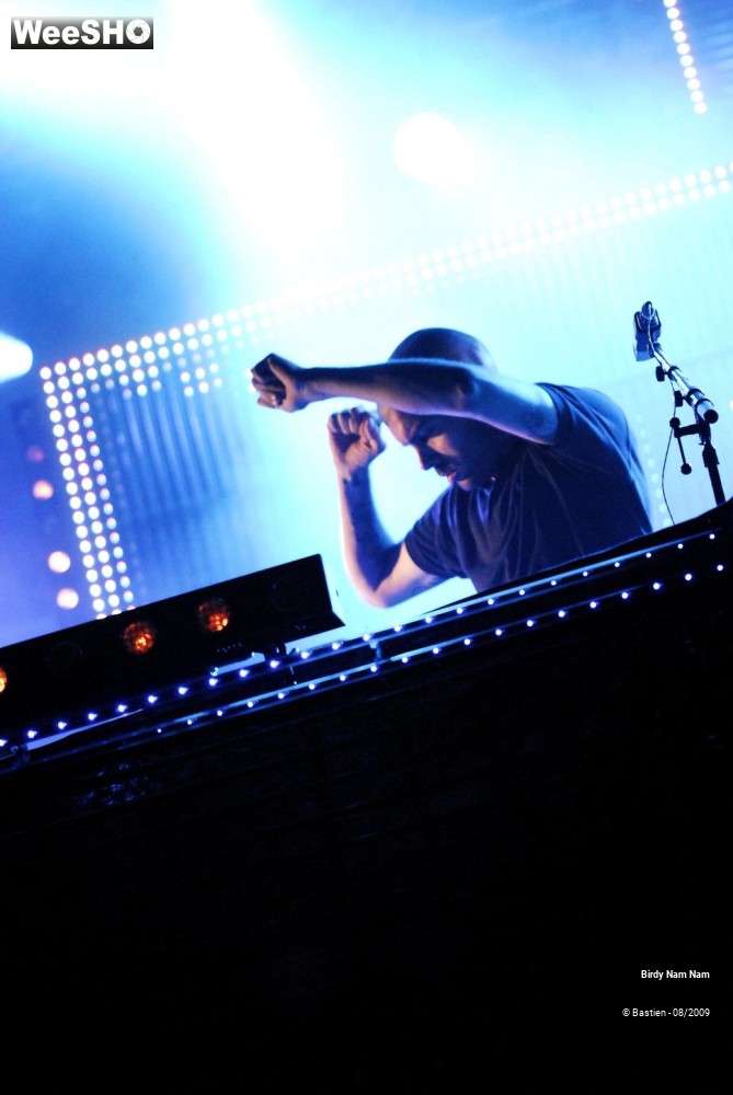 2/42 photos du spectacle Birdy Nam Nam