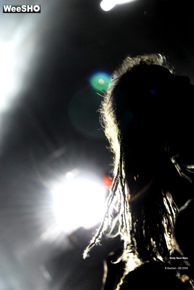 3/42 photos du spectacle Birdy Nam Nam