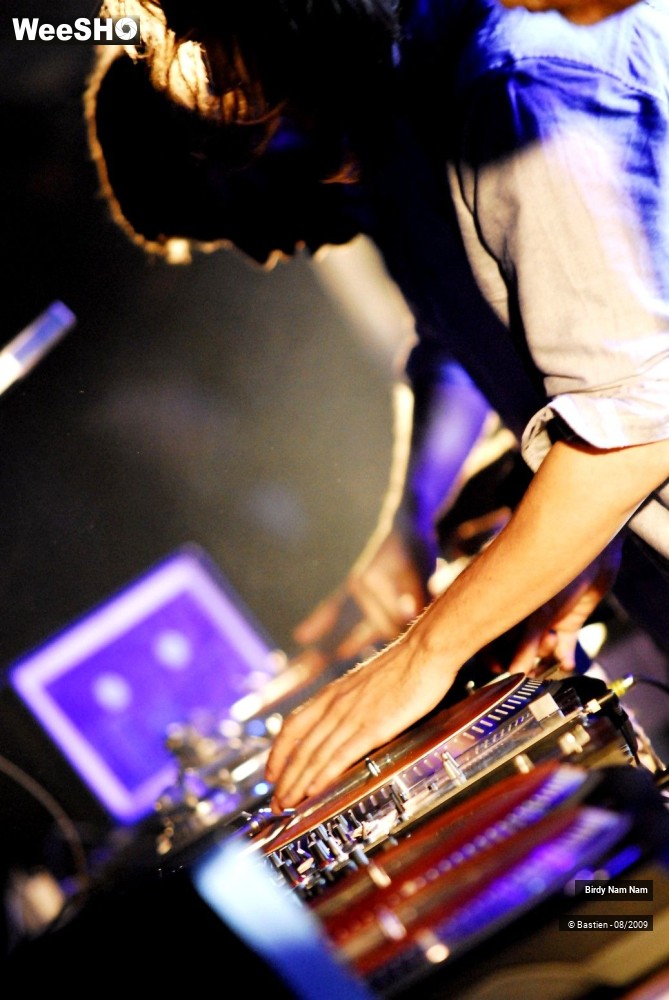 4/42 photos du spectacle Birdy Nam Nam