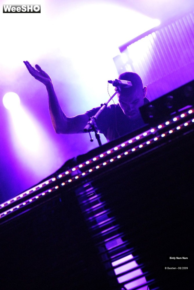 10/42 photos du spectacle Birdy Nam Nam