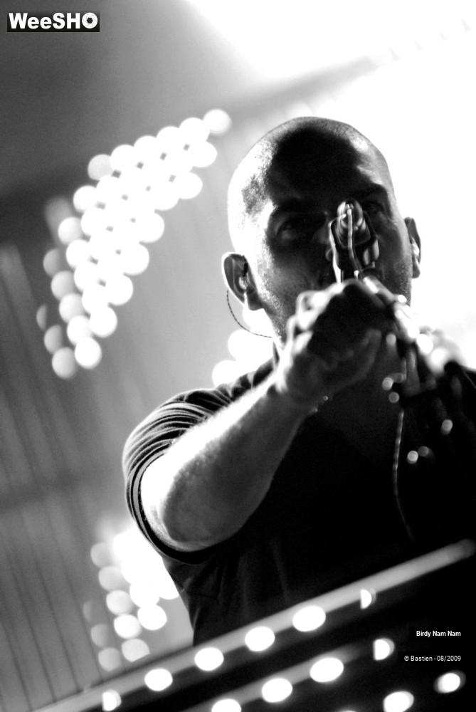 13/42 photos du spectacle Birdy Nam Nam