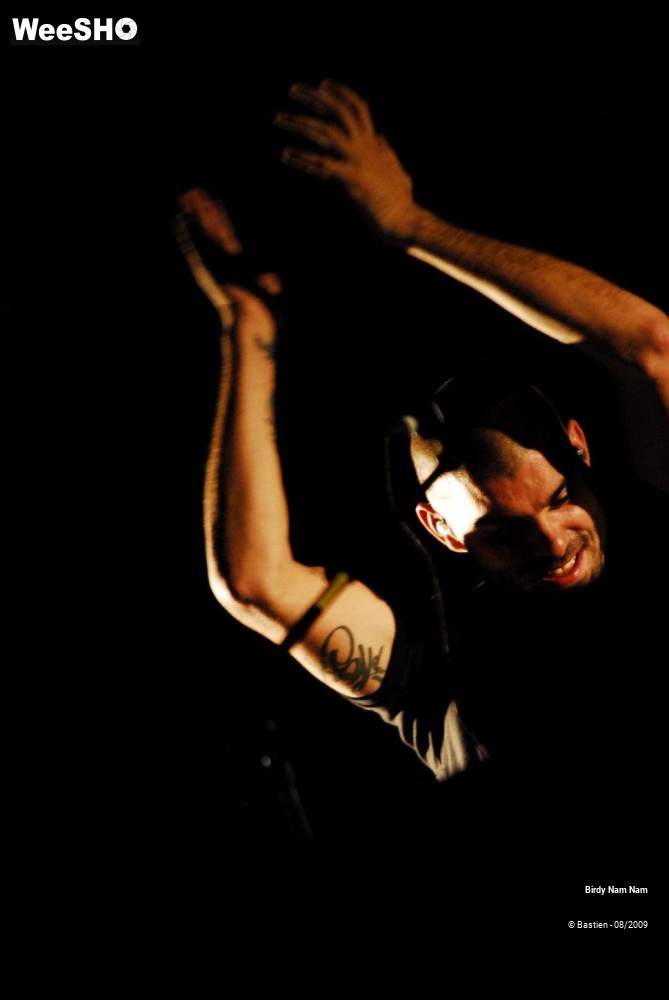 20/42 photos du spectacle Birdy Nam Nam