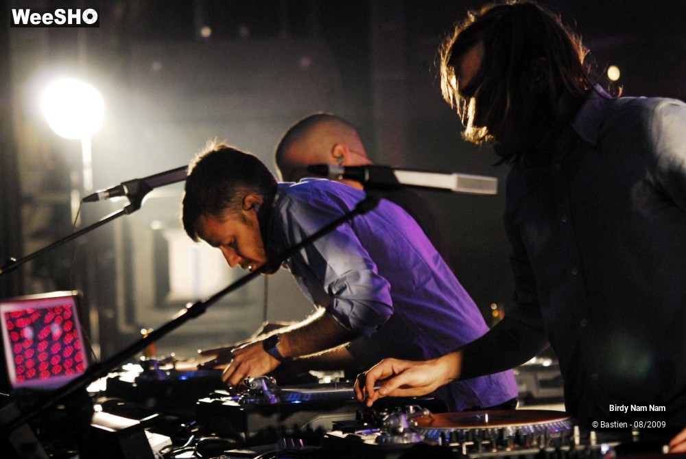 25/42 photos du spectacle Birdy Nam Nam