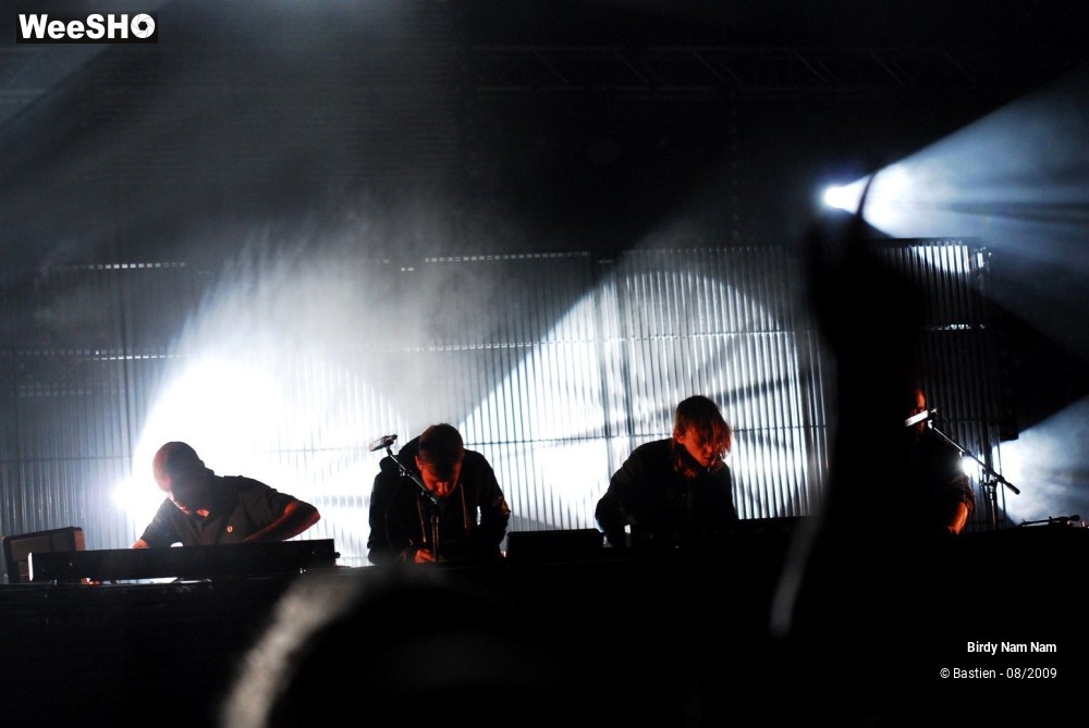 29/42 photos du spectacle Birdy Nam Nam