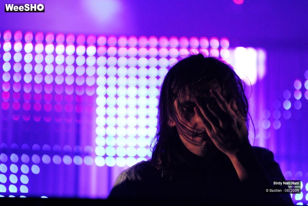 31/42 photos du spectacle Birdy Nam Nam