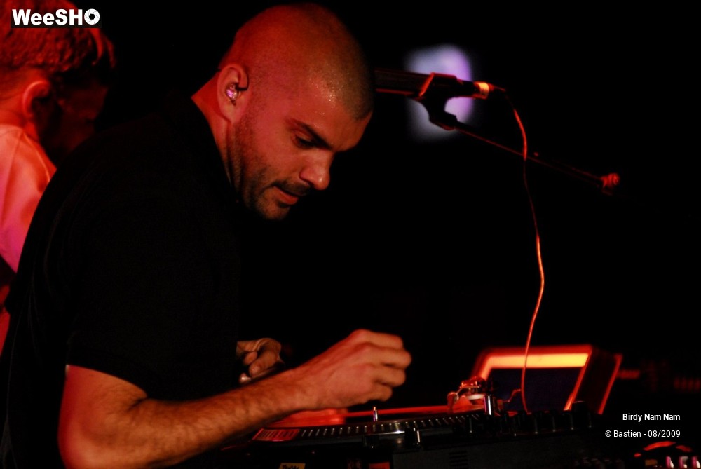 32/42 photos du spectacle Birdy Nam Nam