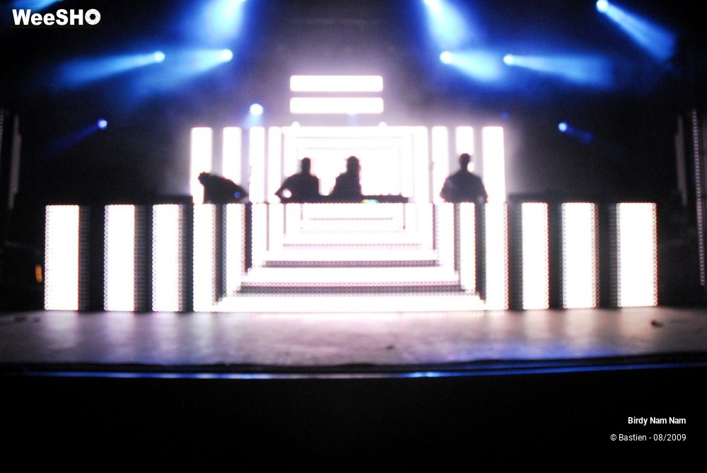 34/42 photos du spectacle Birdy Nam Nam
