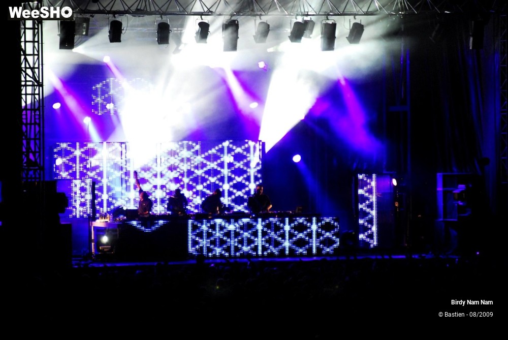 38/42 photos du spectacle Birdy Nam Nam