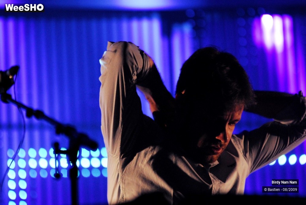 40/42 photos du spectacle Birdy Nam Nam