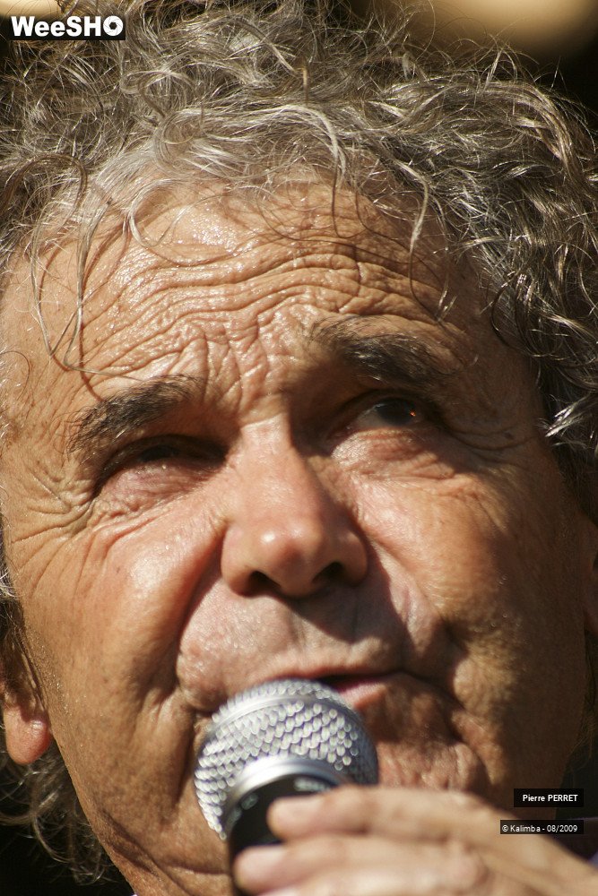 15/47 photos du spectacle Pierre PERRET