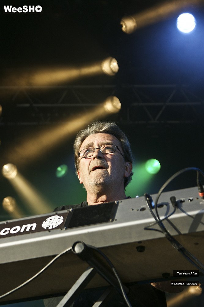 10/45 photos du spectacle Ten Years After