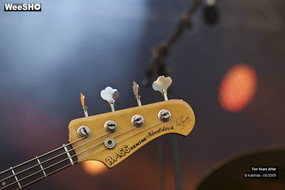 16/45 photos du spectacle Ten Years After