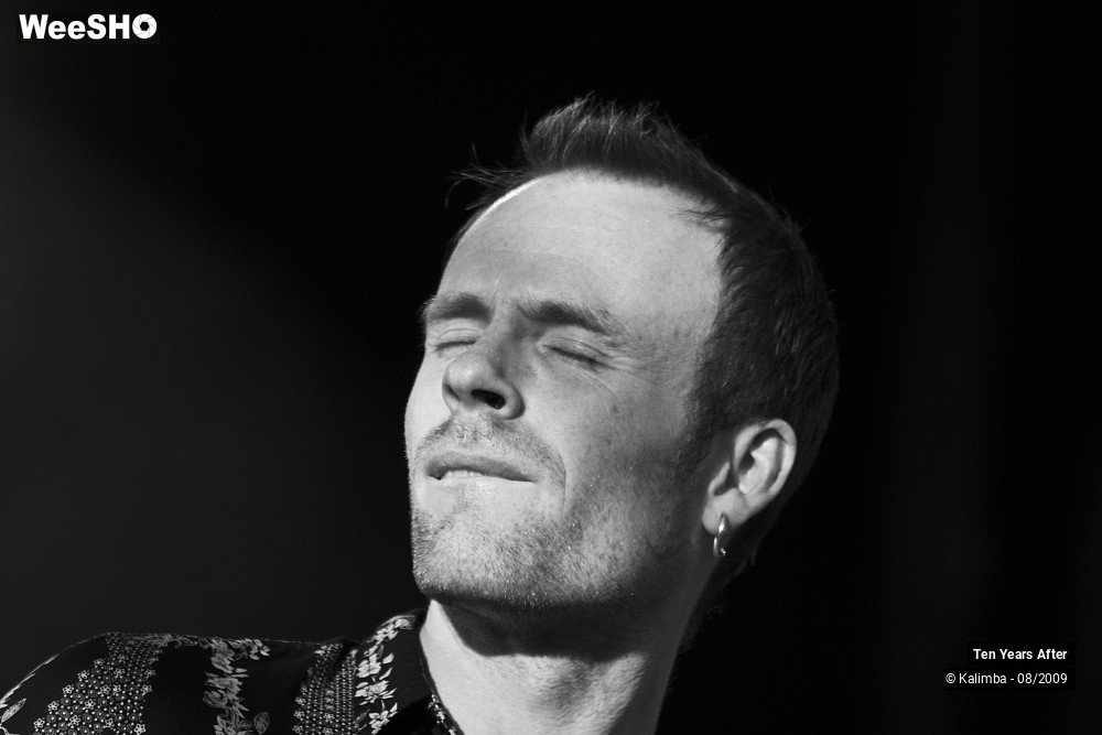 17/45 photos du spectacle Ten Years After