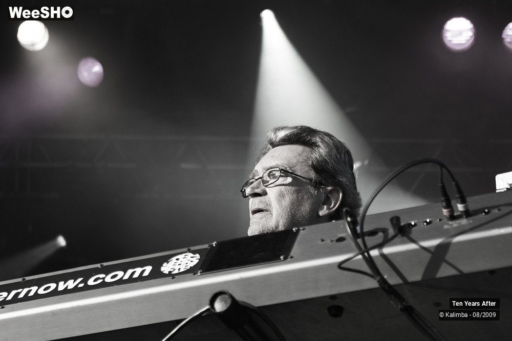 30/45 photos du spectacle Ten Years After