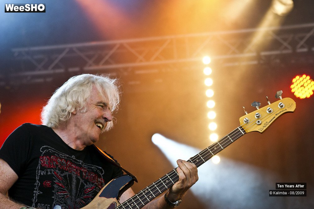 37/45 photos du spectacle Ten Years After