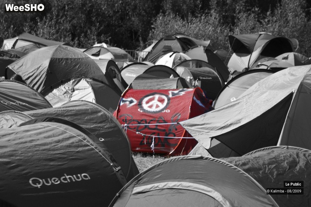 17/41 photos du spectacle Cabaret Vert Camping