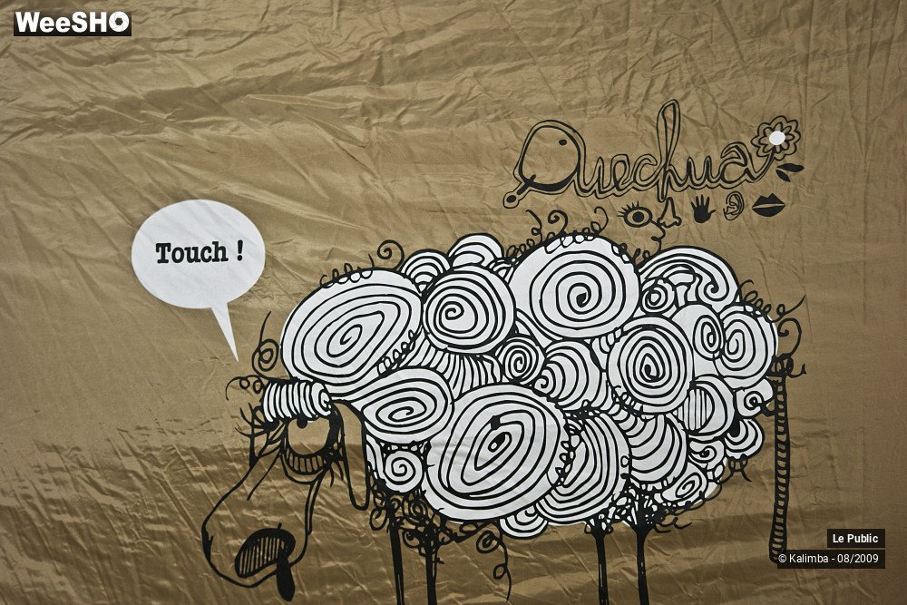 40/41 photos du spectacle Cabaret Vert Camping