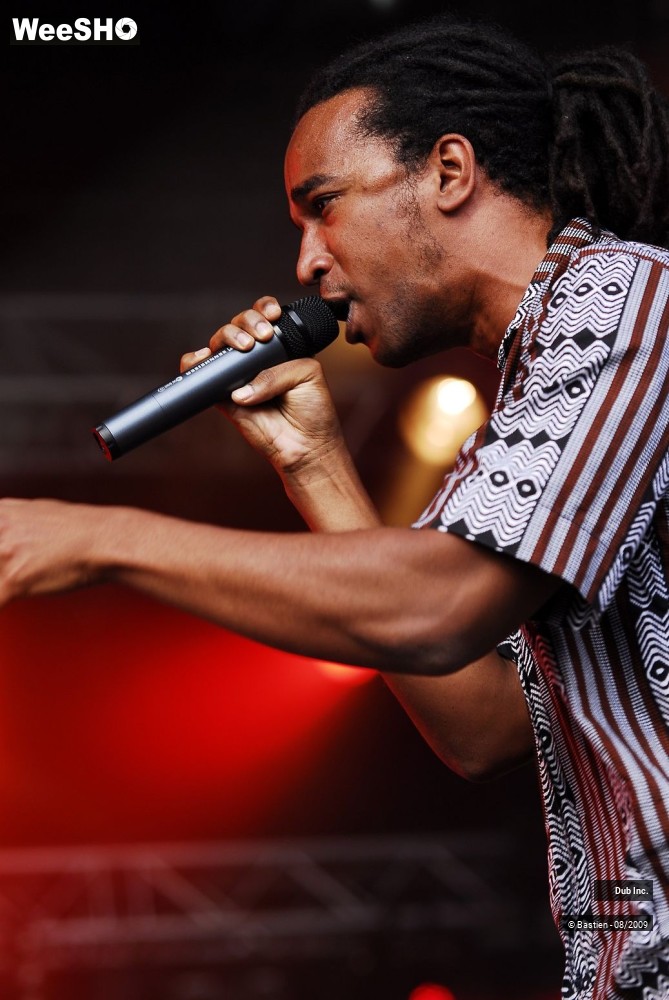 8/41 photos du spectacle Dub Inc