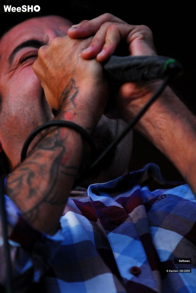 20/38 photos du spectacle Deftones