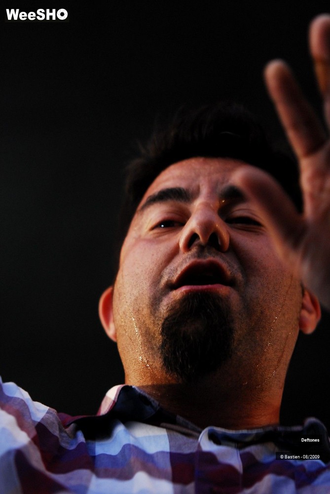 21/38 photos du spectacle Deftones
