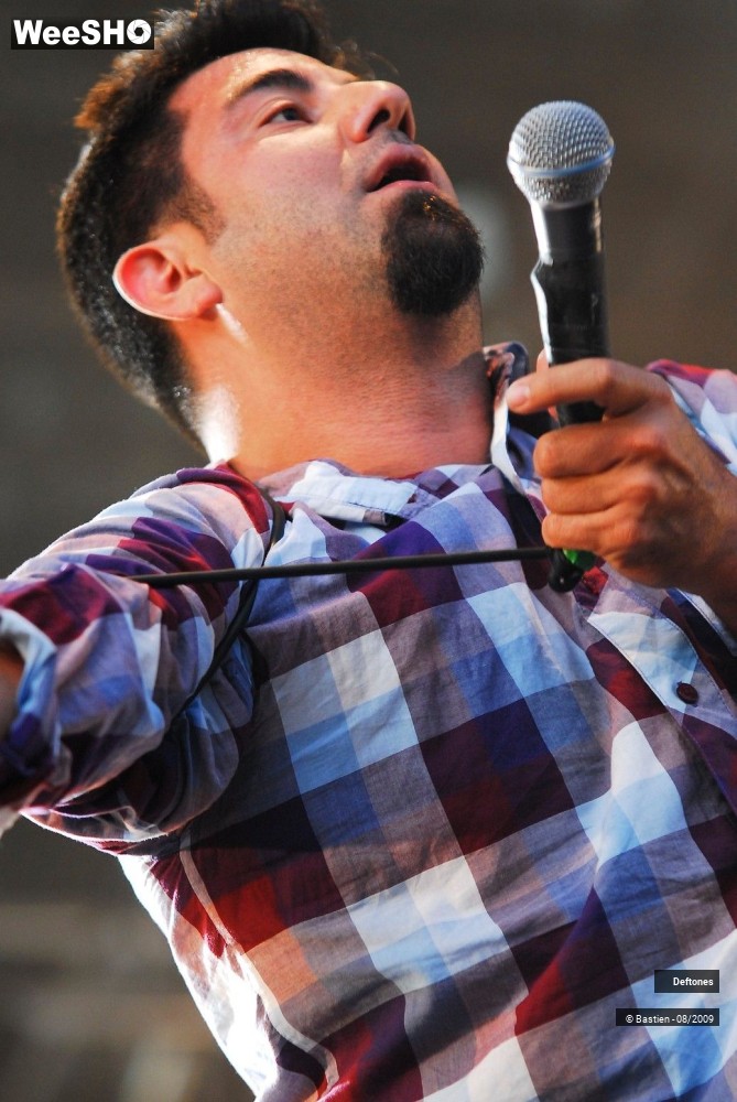 24/38 photos du spectacle Deftones