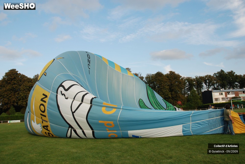 11/49 photos du spectacle Les Montgolfiades 2009