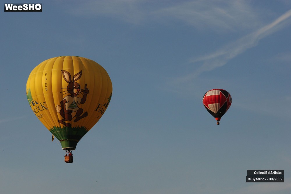 31/49 photos du spectacle Les Montgolfiades 2009