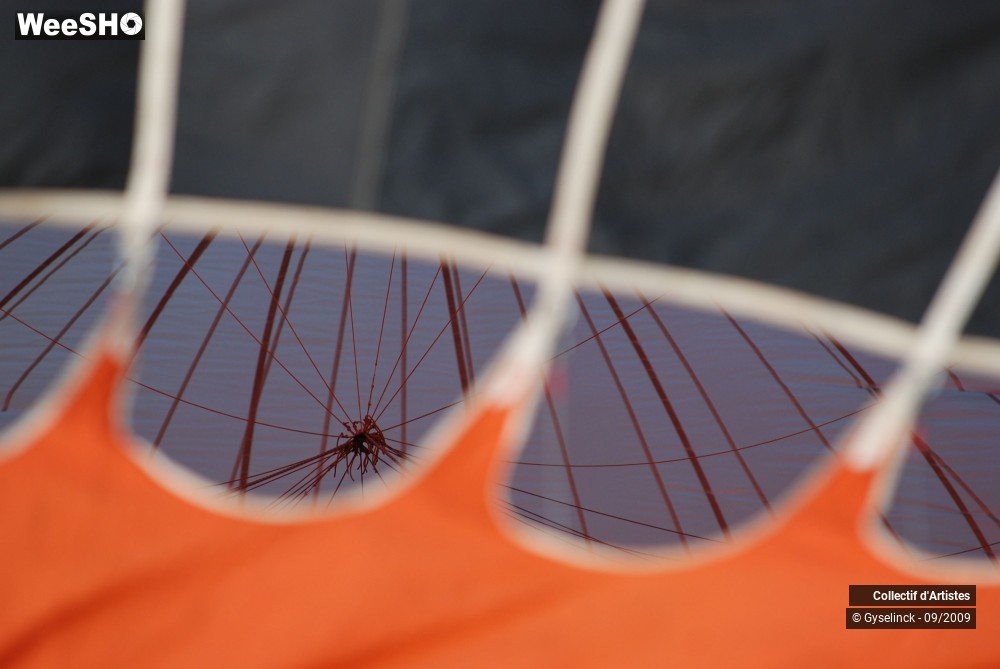 37/49 photos du spectacle Les Montgolfiades 2009