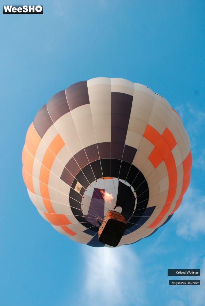 49/49 photos du spectacle Les Montgolfiades 2009