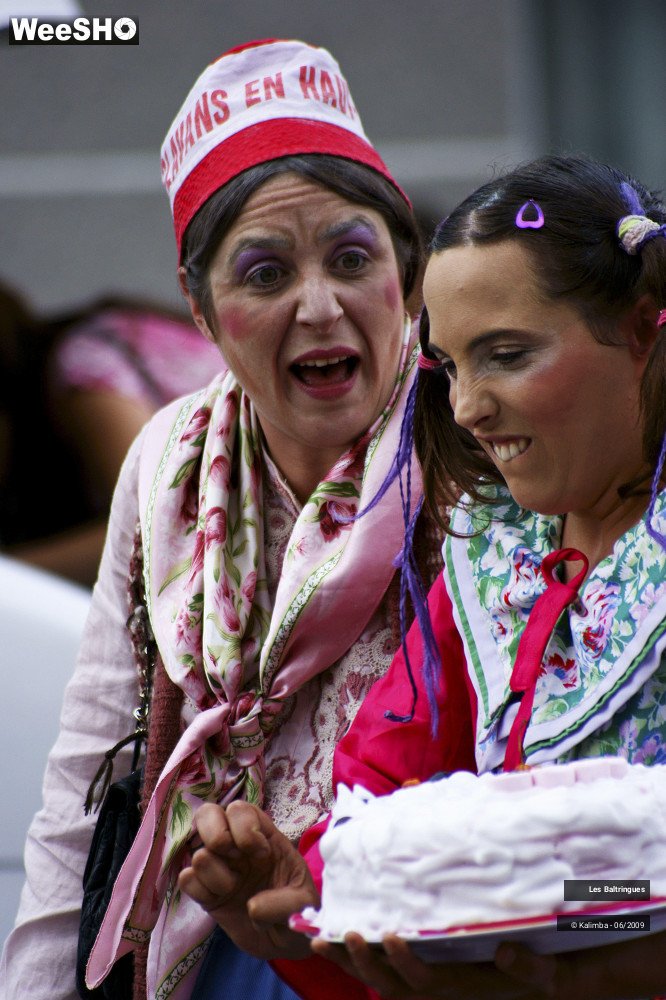 6/47 photos du spectacle La famille Baltringues 2