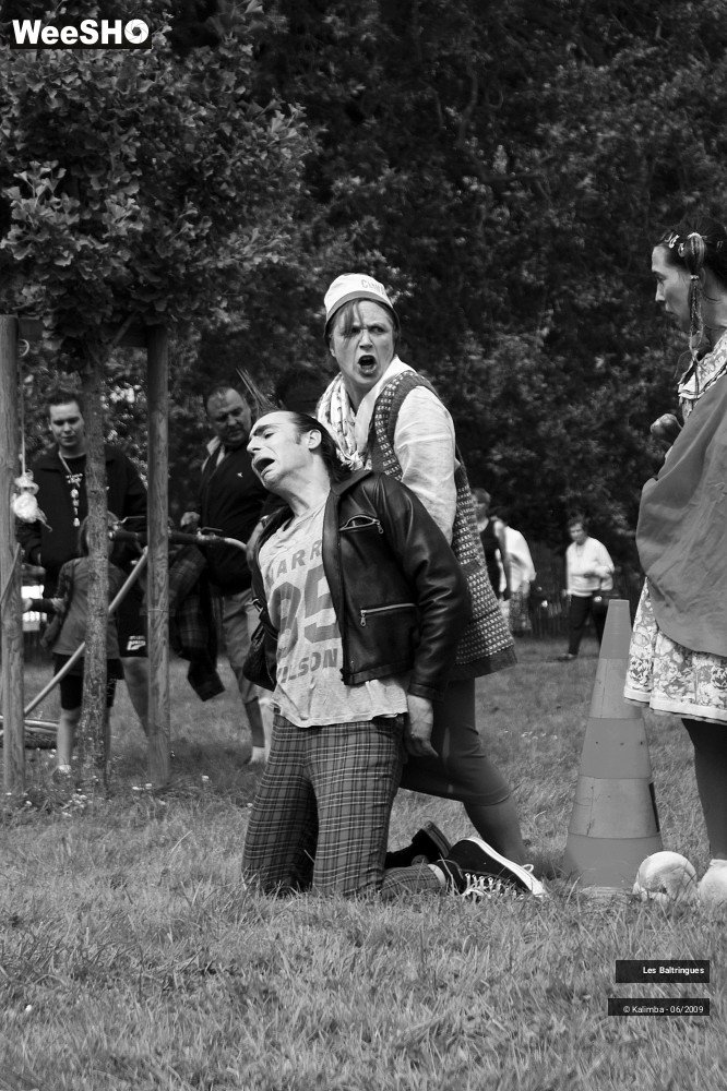 1/47 photos du spectacle La famille Baltringues 3