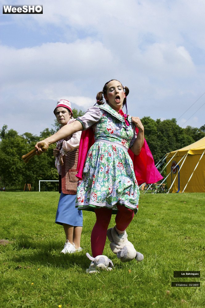 10/47 photos du spectacle La famille Baltringues 3