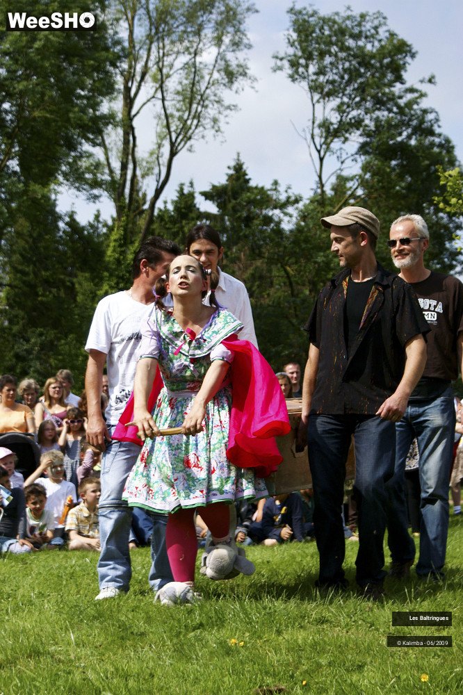 12/47 photos du spectacle La famille Baltringues 3