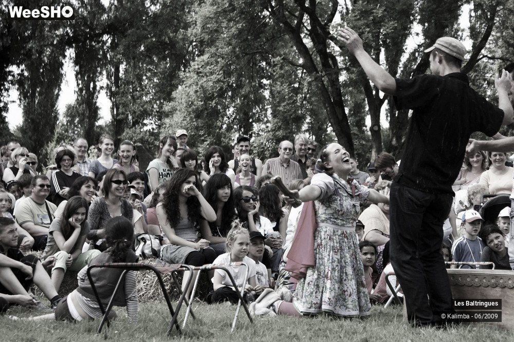 29/47 photos du spectacle La famille Baltringues 3