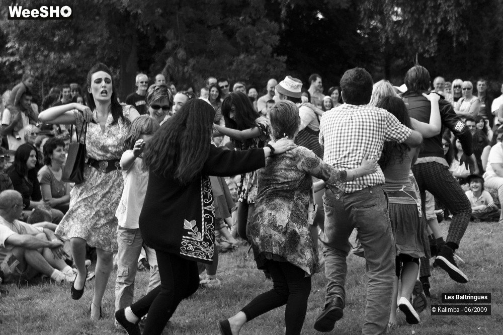 42/47 photos du spectacle La famille Baltringues 3
