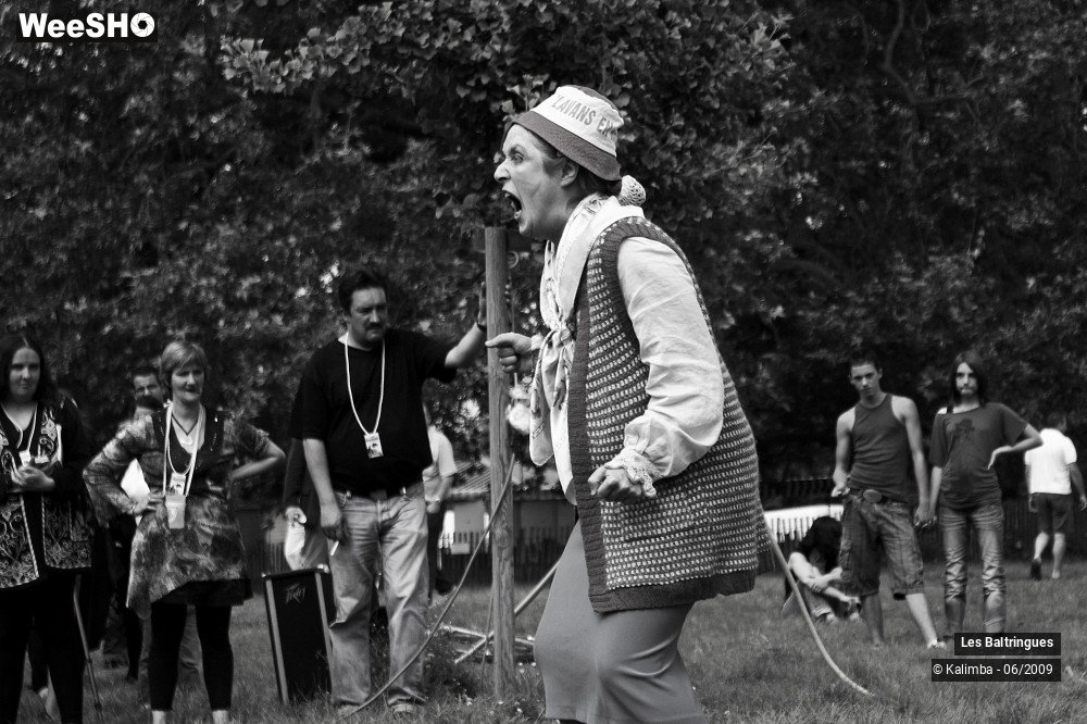 45/47 photos du spectacle La famille Baltringues 3