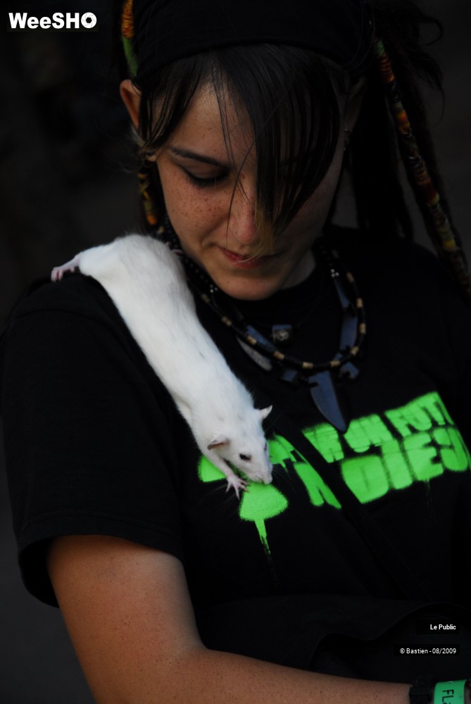 2/34 photos du spectacle Cabaret Vert Ambiance 5