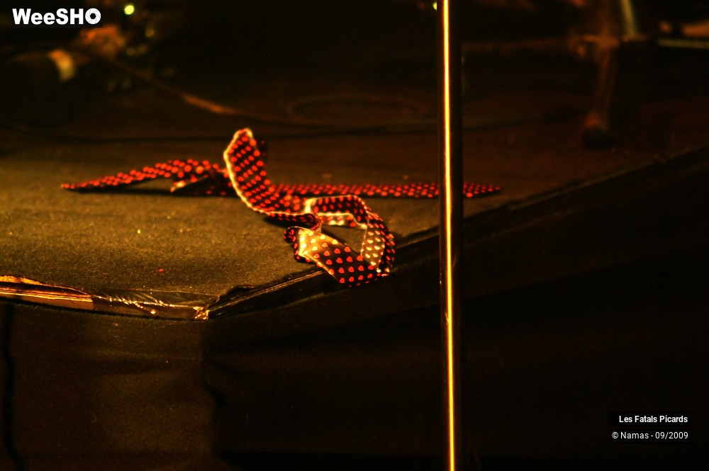 32/40 photos du spectacle Fatals Picards