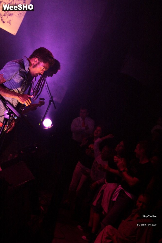 20/50 photos du spectacle Skip The Use