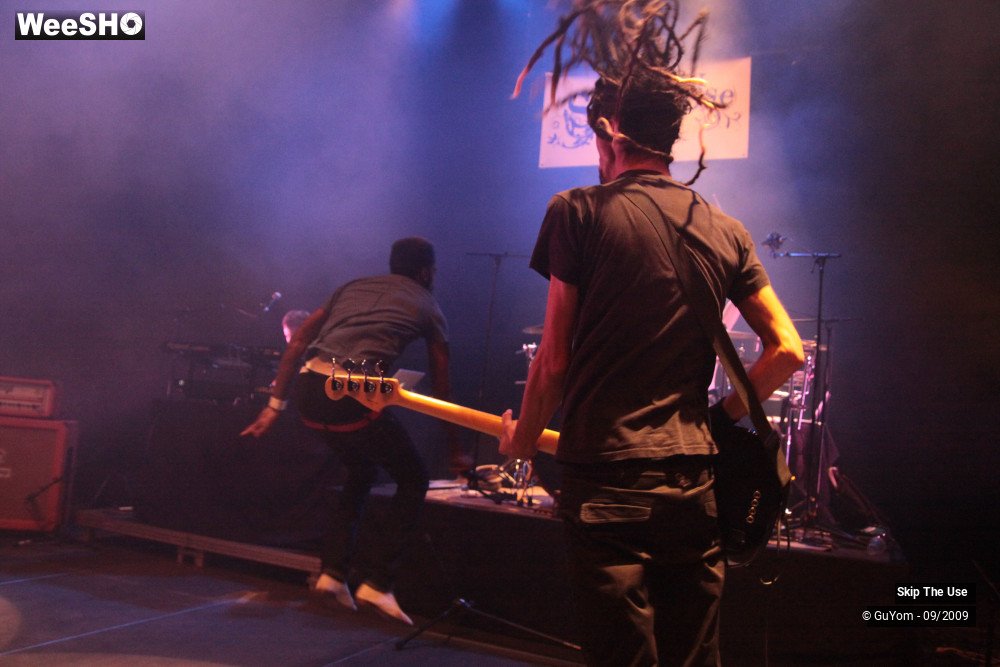 28/50 photos du spectacle Skip The Use