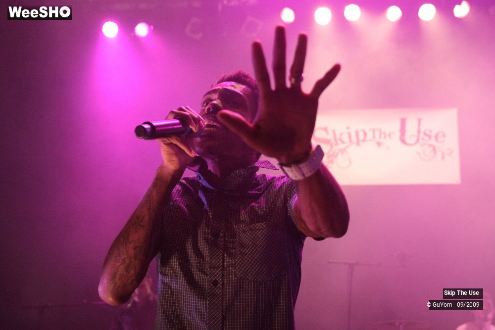 30/50 photos du spectacle Skip The Use