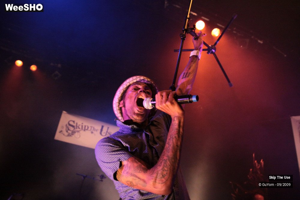 32/50 photos du spectacle Skip The Use