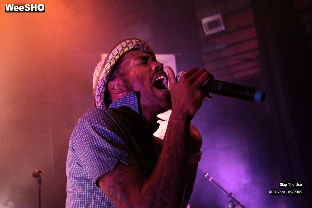 36/50 photos du spectacle Skip The Use