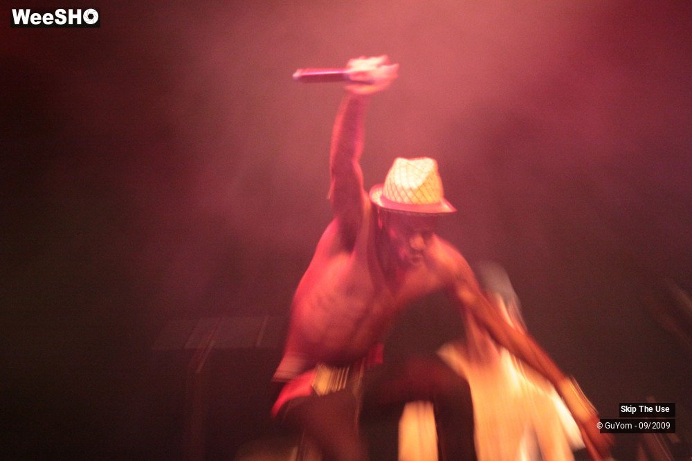 39/50 photos du spectacle Skip The Use