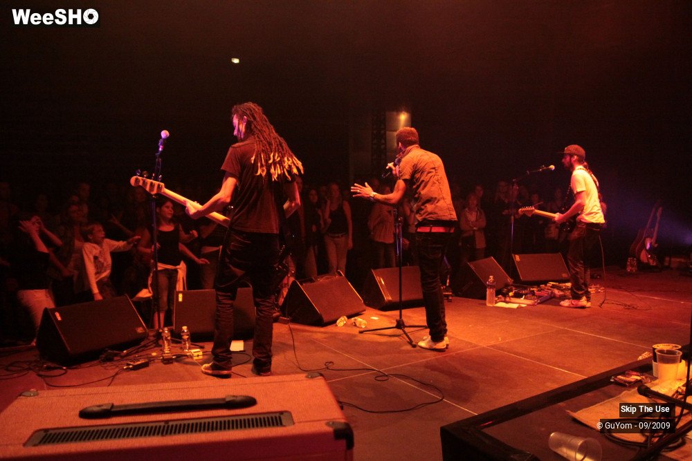 40/50 photos du spectacle Skip The Use